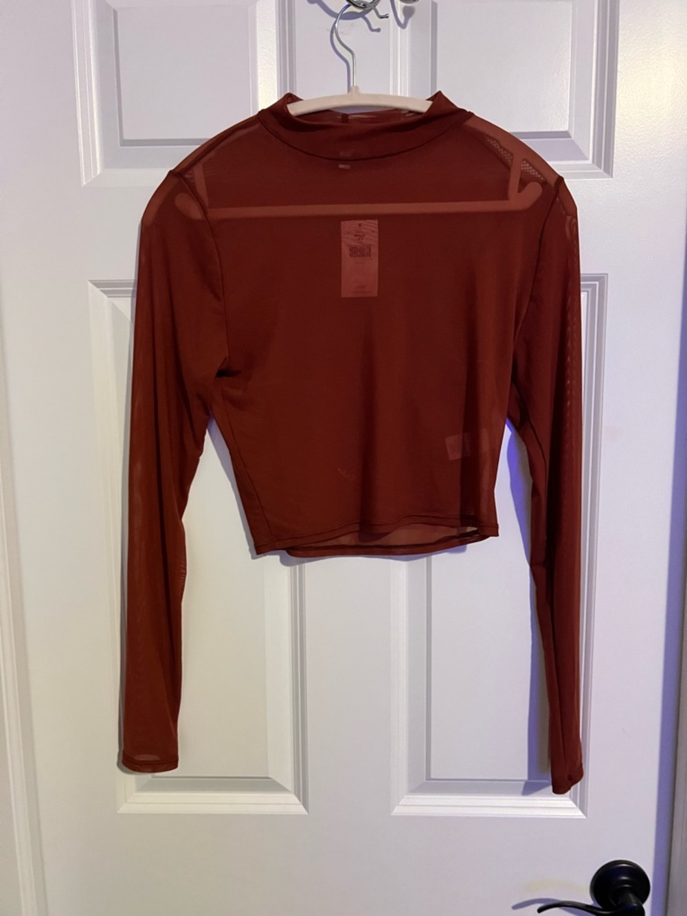 Buckle Rust Sheer Long-Sleeve Crop Top